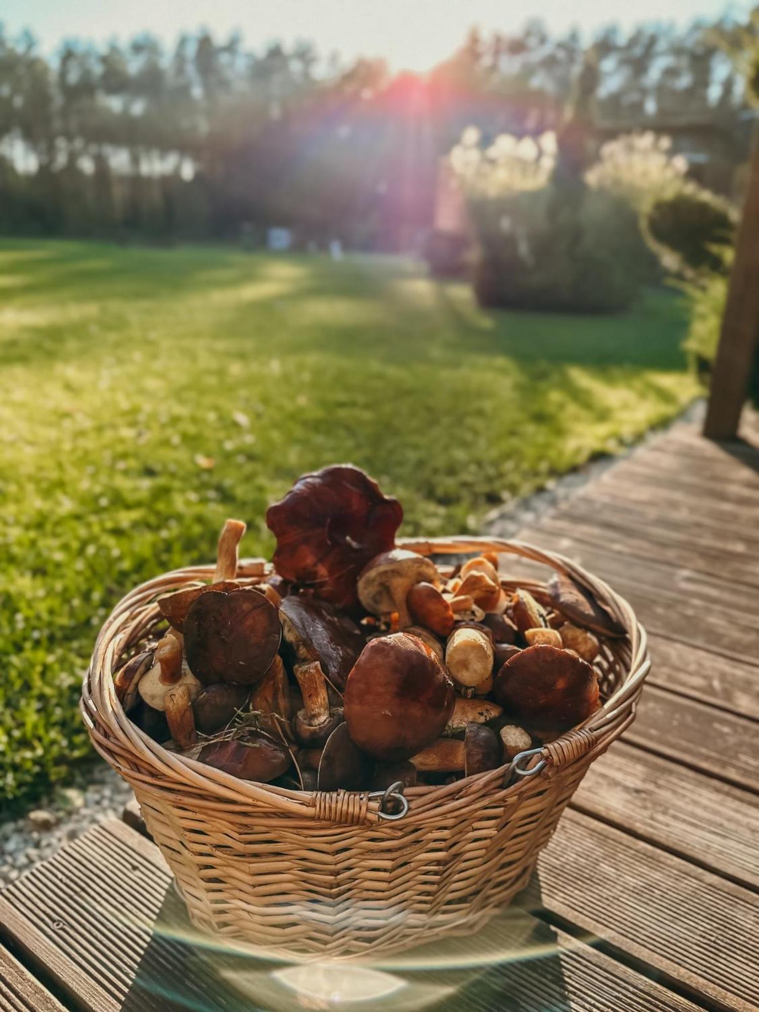 Agroturystyka Wena - Luksus W Naturze Zachodzko Esterno foto